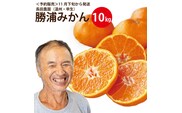 長田農園 早生みかん 秀品 S-Lサイズ 10kg