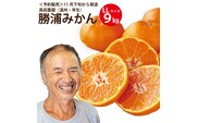 長田農園 早生みかん 秀品 LLサイズ 9kg