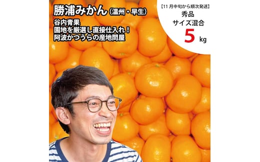 谷内青果 早生みかん 秀品 サイズ混合 5kg