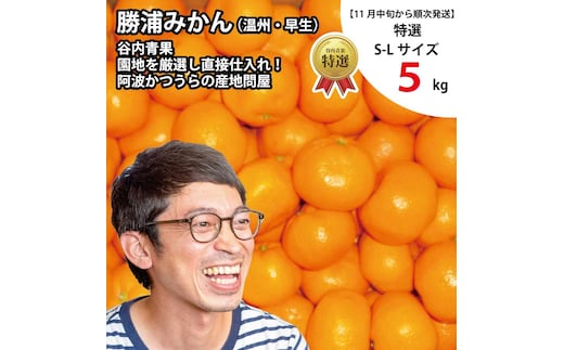 谷内青果 特選 早生みかん 秀品 S-Lサイズ 5kg