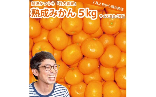 谷内青果 熟成みかん 秀品 サイズ混合 5kg