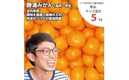 谷内青果 早生みかん 秀品 サイズ混合 5kg