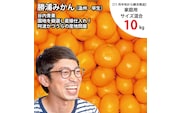 谷内青果 早生みかん 家庭用 サイズ混合 10kg