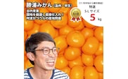 谷内青果 特選 早生みかん 秀品 S-Lサイズ 5kg