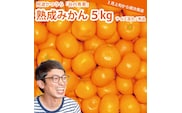 谷内青果 熟成みかん 秀品 サイズ混合 5kg