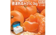 谷内青果 贈答用 熟成みかん 秀品 S-Mサイズ 3kg