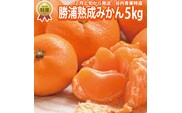 谷内青果 特選 熟成みかん S-Lサイズ 5kg