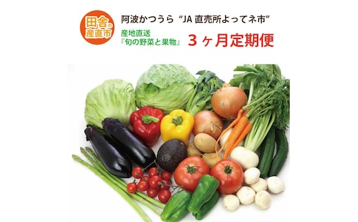 【定期便3回】阿波かつうら 農産物詰合わせ