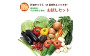 阿波かつうら 農産物お試しセット