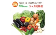【定期便3回】阿波かつうら 農産物詰合わせ