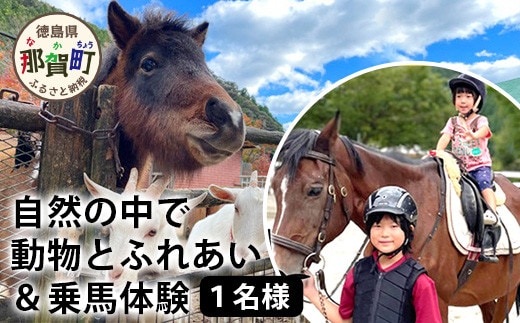 自然の中で動物とふれあい＆乗馬体験（1名）CC-1 徳島 那賀 体験 乗馬 乗馬体験 動物とふれあい アウトドア レジャー 1名様 1枚【体験チケット】