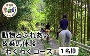 動物ふれあい＆乗馬体験 『わくわくコース』約30分 1名　CC-2 徳島 那賀 体験 乗馬 乗馬体験 チケット トラベル ふれあい 動物とふれあい 自然 アウトドア レジャー 景品 1名様 1枚 思い出 【体験チケット】