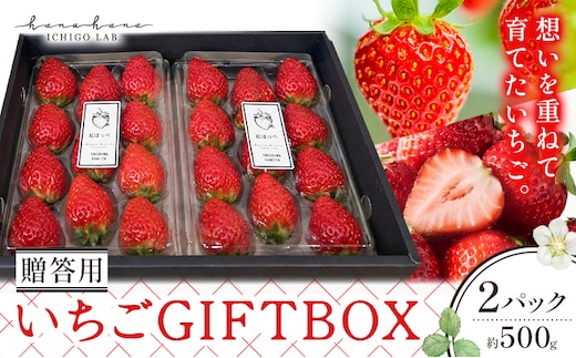 いちご 苺 贈答 ギフト ボックス 2パック 約500g ICHIGO LAB.hanahana 《1月上旬-4月下旬頃発送予定》 イチゴ 徳島県 上板町 紅ほっぺ 阿波ほうべに あまえくぼ 果物 フルーツ 送料無料---tsk_cilh1_ab14_24_15500_500g---