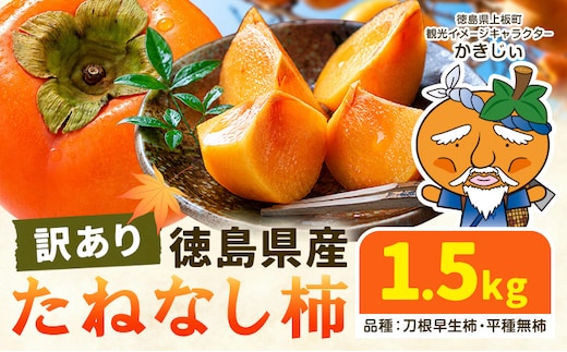 柿 果物 訳あり たねなし柿 1.5kg 《2026年9月末から10月末出荷予定》 旬 送料無料 徳島県 上板町 フルーツ かき カキ くだもの 刀根早生柿 平種無柿---wfn_kgl242_ec910_24_5000_1500g---