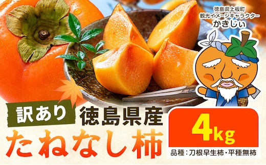 柿 果物 訳あり たねなし柿 4kg 《2026年9月末から10月末出荷予定》 旬 送料無料 徳島県 上板町 フルーツ かき カキ くだもの 刀根早生柿 平種無柿---wfn_kgl243_ec910_24_9000_4kg---