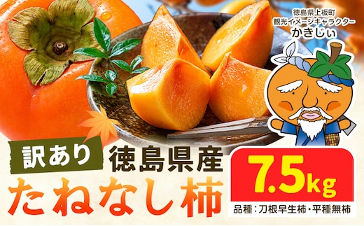 柿 果物 訳あり たねなし柿 7.5kg 《2026年9月末から10月末出荷予定》 旬 送料無料 徳島県 上板町 フルーツ かき カキ くだもの 刀根早生柿 平種無柿---wfn_kgl244_ec910_24_14500_7500g---
