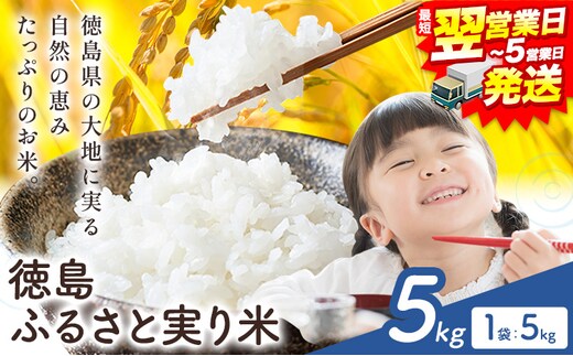 【最短翌営業日発送】もちもち美味しい！ 徳島ふるさと実り米 精米 5kg 《1-5営業日以内発送》徳島県 上板町 お米 米 白米---wfn_kgl305_s_24_11500_5kg---