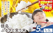 【最短翌営業日発送】もちもち美味しい！ 徳島ふるさと実り米 精米 5kg 《1-5営業日以内発送》徳島県 上板町 お米 米 白米---wfn_kgl305_s_24_11500_5kg---