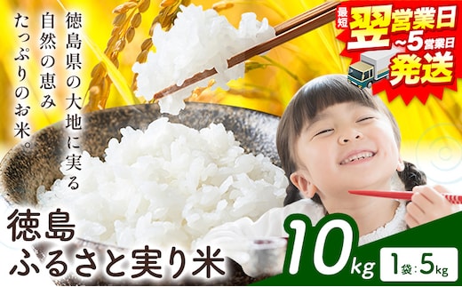 【最短翌営業日発送】 もちもち美味しい！ 徳島ふるさと実り米 精米 10kg 《1-5営業日以内発送》徳島県 上板町 お米 米 白米 米 10kg---wfn_kgl306_s_24_20500_10kg---