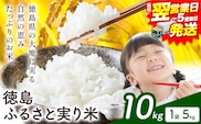 【最短翌営業日発送】 もちもち美味しい！ 徳島ふるさと実り米 精米 10kg 《1-5営業日以内発送》徳島県 上板町 お米 米 白米 米 10kg---wfn_kgl306_s_24_20500_10kg---