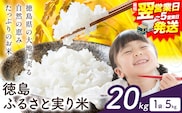【最短翌営業日発送】もちもち美味しい！ 徳島ふるさと実り米 精米 20kg 《1-5営業日以内発送》徳島県 上板町 お米 米 白米---wfn_kgl308_s_24_39500_20kg---