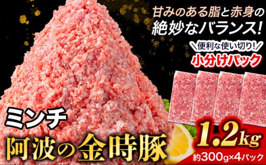 豚肉 阿波 金時豚 ミンチ 1.2kg アグリガーデン 《30日以内に出荷予定(土日祝除く)》豚肉 ブランド豚 肉 小分けパック 送料無料 徳島県 上板町 st-p---tsk_fagrg16_30d_23_9500_m---