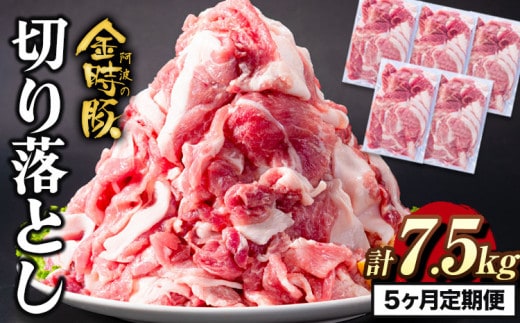 ＜ブランド豚＞ 定期便 阿波の金時豚 大容量1.5kg ×5ヶ月定期便 切り落とし アグリガーデン 《お申込み月の翌月から出荷開始》豚肉 ブランド豚 肉 小分けパック 送料無料 徳島県 上板町 st-p---tsk_fagrg24tei_24_64000_mo5num1---