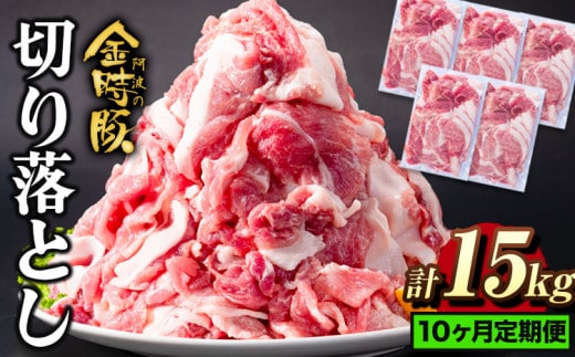＜ブランド豚＞ 定期便 阿波の金時豚 大容量1.5kg ×10ヶ月定期便 切り落とし アグリガーデン 《お申込み月の翌月から出荷開始》豚肉 ブランド豚 肉 小分けパック 送料無料 徳島県 上板町 st-p---tsk_fagrg25tei_24_130000_mo10num1---