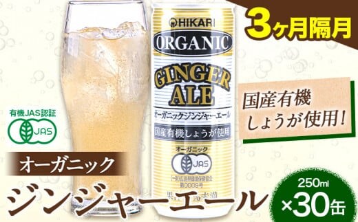 【3ヶ月隔月定期便】 ジンジャーエール 250ml×30缶 光食品株式会社 定期 隔月 計3回お届け 《お申込み月の翌月から出荷開始》 徳島県 上板町 ジュース 炭酸水 光食品 ジンジャーエール オーガニック 有機 st-p---tsk_hkrsk85tei_38000_ev2mo3num1---