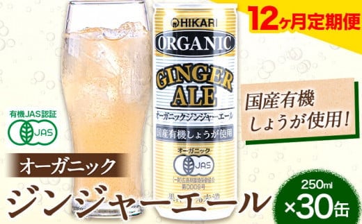 【12ヶ月定期便】 ジンジャーエール 250ml×30缶 光食品株式会社 定期 計12回お届け 《お申込み月の翌月から出荷開始》 徳島県 上板町 ジュース 炭酸水 光食品 ジンジャーエール オーガニック 有機 st-p---tsk_hkrsk84tei_149500_mo12num1---