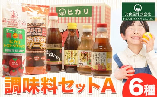 有機 調味料セット A 6種 光食品 株式会社 《30日以内出荷予定(土日祝除く)》 調味料 無添加 調味料 中華 バラエティーセット 中農ソース 濃厚ソース お好みソース ケチャップ ドレッシング 徳島県 上板町 st-p---tsk_hkrsk48_30d_24_9500_6p---