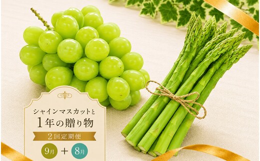 定期便 2回 シャインマスカット さぬきのめざめ アスパラ アスパラガス グリーンアスパラ ぶどう 果物 野菜 フルーツ 旬 旬のフルーツ 贈答用 ギフト プレゼント 香川県 丸亀市