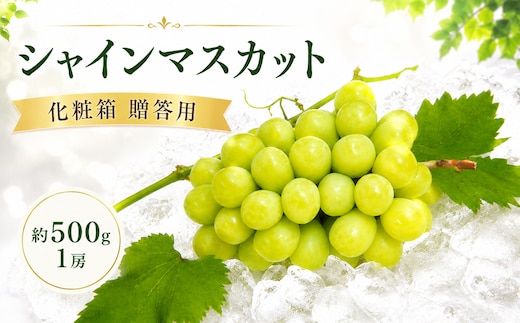 【先行予約】 パリッと甘い！ シャインマスカット 約500g 1房 化粧箱 贈答用 冷蔵 マスカット ぶどう 葡萄 ブドウ フルーツ 果物 くだもの デザート 果実 美味しい 人気果物 人気フルーツ 旬のフルーツ 旬の果物 瀬戸内 果汁 フルーツ デザート 果実 青果 甘い 季節 国産 ふるさと納税マスカット ふるさと納税ぶどう 香川県 丸亀市