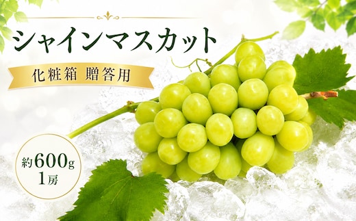 【先行予約】 パリッと甘い！ シャインマスカット 約600g 1房 化粧箱 贈答用 冷蔵 マスカット ぶどう 葡萄 ブドウ フルーツ 果物 くだもの デザート 果実 美味しい 人気果物 人気フルーツ 旬のフルーツ 旬の果物 瀬戸内 果汁 フルーツ デザート 果実 青果 甘い 季節 国産 ふるさと納税マスカット ふるさと納税ぶどう 香川県 丸亀市