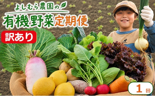 訳あり 野菜 詰め合わせ 6種 よしむら農園 オーガニック 有機 有機野菜 やさい ベジタブル おまかせ セット 一人暮らし おすすめ レタス とうもろこし トマト 有機栽培 JAS 栄養 贅沢 国産 大容量 人気 新鮮 今が旬 香川県 丸亀市