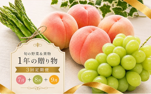 定期便 3回 シャインマスカット 桃 アスパラ ぶどう さぬきのめざめ アスパラガス 果物 野菜 フルーツ 旬 旬のフルーツ 贈答用 ギフト プレゼント 香川県 丸亀市