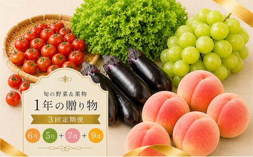 定期便 3回 シャインマスカット 桃 ぶどう 野菜 セット 旬の野菜 果物 フルーツ 旬 旬のフルーツ 贈答用 ギフト プレゼント 香川県 丸亀市