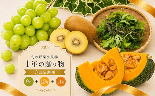 定期便 3回 シャインマスカット キウイ ぶどう ゴールドキウイ 野菜 セット 旬 季節 秋 果物 フルーツ 旬 旬のフルーツ 贈答用 ギフト プレゼント 香川県 丸亀市