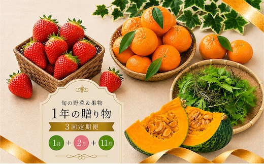 定期便 3回 いちご 苺 みかん 野菜 セット 小原紅早生 さぬき姫 旬 季節 秋 果物 フルーツ 旬 旬のフルーツ 贈答用 ギフト プレゼント 香川県 丸亀市