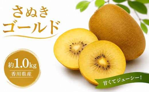 キウイ 10月から発送 香川県産 ゴールドキウイ さぬきゴールド 約1.0kg 国産 キウイ 国産キウイ 旬 新鮮 厳選 フルーツ 人気 家庭用 香川県 丸亀市 早期予約