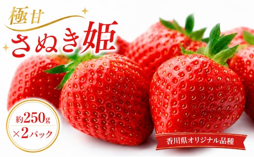いちご 2月から発送 いちご 極甘 さぬき姫 約250g×2パック 苺 イチゴ 国産いちご 完熟 新鮮 朝採れ 旬 厳選 フルーツ 果物 人気 家庭用 香川県 丸亀市 早期予約