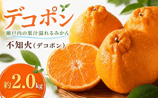 2027年発送 デコポン 3月上旬より発送 デコポン 不知火 約2.0kg 柑橘 みかん 国産デコポン 甘い 完熟 旬 新鮮 厳選 フルーツ 果物 人気 家庭用 高品質 おすすめ 香川県 丸亀市 早期予約