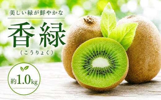 キウイ 12月中旬より発送 香緑 約1.0kg キウイフルーツ 国産キウイ 完熟 旬 新鮮 厳選 フルーツ 果物 人気 家庭用 香川県 丸亀市 早期予約