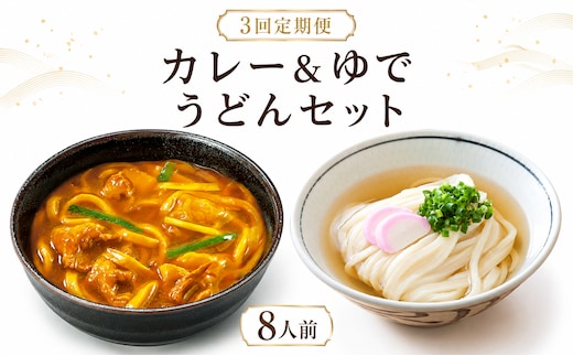 【定期便3回毎月】さぬきうどん ＆ コク旨 カレーうどん 詰め合わせ セット 8人前 定期便 ３回 ダシ付き スープ付き 宮武讃岐製麺所 丸亀からお届け 讃岐うどん 食べ比べ 麺 麺類 うどん カレー 個包装 常温 常温保存 日持ち 簡単調理 備蓄 讃岐 香川県 丸亀 丸亀市 miyatake025