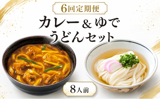 【定期便6回毎月】さぬきうどん ＆ コク旨 カレーうどん 詰め合わせ セット 8人前 定期便 6回 ダシ付き スープ付き 宮武讃岐製麺所 丸亀からお届け 讃岐うどん 食べ比べ 麺 麺類 うどん カレー 個包装 常温 常温保存 日持ち 簡単調理 備蓄 讃岐 香川県 丸亀 丸亀市 miyatake026