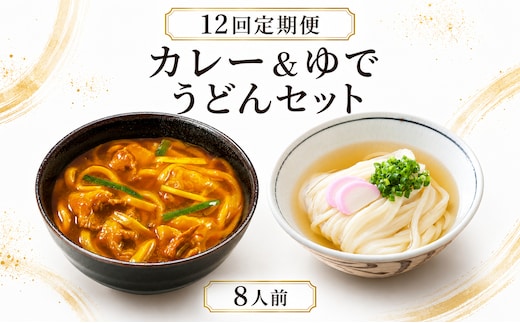 【定期便12回毎月】さぬきうどん ＆ コク旨 カレーうどん 詰め合わせ セット 8人前 定期便 12回 ダシ付き スープ付き 宮武讃岐製麺所 丸亀からお届け 讃岐うどん 食べ比べ 麺 麺類 うどん カレー 個包装 常温 常温保存 日持ち 簡単調理 備蓄 讃岐 香川県 丸亀 丸亀市 miyatake027