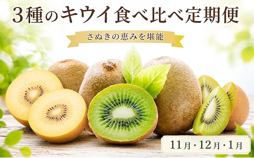 キウイ 定期便 3回 食べ比べ ゴールドキウイ キウイフルーツ さぬきゴールド 香緑 キウイっこ 小粒 果物 フルーツ ヨーグルト アイス 朝食 おやつ ビタミン 香川県 丸亀市