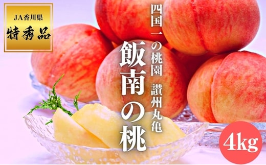 【2026年早期予約】特秀品 桃 約4kg （目安:11玉～14玉) 讃州丸亀 飯南の桃 贈答箱 もも モモ 果物 くだもの 果実 フルーツ 旬 旬の果物 デザート スイーツ おやつ ゼリー ジュース 人気果物 人気フルーツ ランキング 香川 丸亀