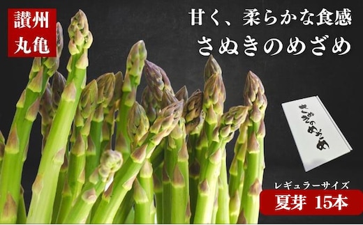 【6月上旬～9月上旬】 アスパラ アスパラガス 1.5kg さぬきのめざめ 夏芽 グリーンアスパラ グリーンアスパラガス 野菜 やさい ベジタブル 食物繊維 先行予約 期間限定 香川県 丸亀市