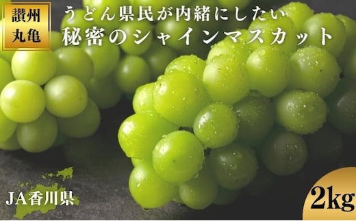 【9月配送】 シャインマスカット 約2kg マスカット シャインマスカット ぶどう 葡萄 ブドウ フルーツ 果物 くだもの 果実 フルーツ 旬 旬の果物 デザート スイーツ おやつ ゼリー ジュース 人気果物 人気フルーツ ランキング 香川 丸亀